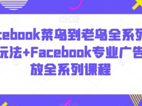 Facebook基础教程网盘分享,全方位解读账号操作与推广技巧