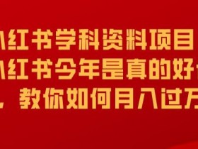 学科资料项目全攻略,小红书从引流到月入过万的实操方法
