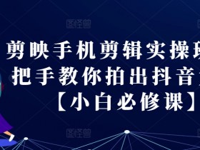 抖音营销策略总结，成功案例中的8个关键要点