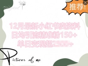 揭秘小红书矩阵引流技巧，日引创业粉200+的方法拆解