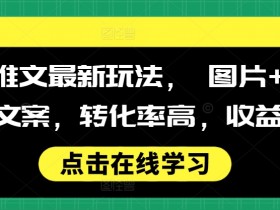 小说推文授权攻略，教你合法获取小说授权的完整流程