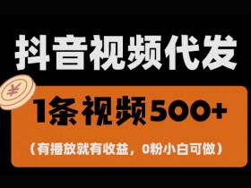 抖音营销推广成功案例解析,从小商家到大品牌的流量变现之路