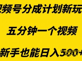 视频号分成计划冷门玩法揭秘,小众赛道如何实现爆发性收益?