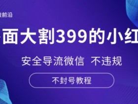 小红书短剧赚钱项目靠谱吗，从搬运到变现的全攻略