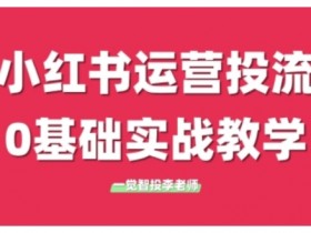 小红书图文引流技巧解析，从算法到内容的精准操作