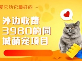 短视频引流真的有效吗，实体店主的成功案例分享