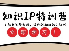 如何利用小红书笔记引流卖货,从内容到推广的完整操作教程