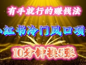 小红书旅游定制项目适合新手吗，无门槛玩法全解