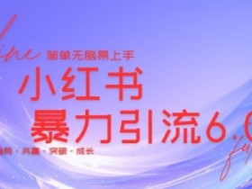 如何通过小红书矩阵赚钱,日引精准客户200+的实操技巧