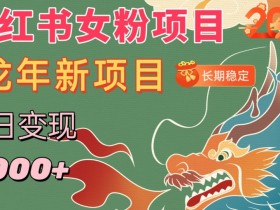 小红书运营是做什么的，详解岗位职责与核心技能要求