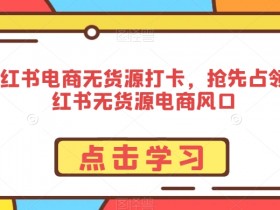 小红书运营攻略全解析,从养号到爆款打造的详细教程