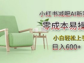 小红书矩阵引流如何实现高效转化，批量账号运营干货分享