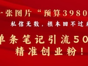 小红书图文引流玩法大全，矩阵推广日增300+精准粉丝