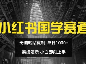 如何在小红书掘金训练营赚钱，日引150+的实操教学