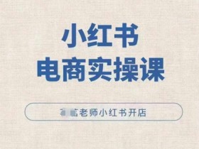 小红书图文引流技巧解析，从算法到内容的精准操作