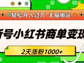 小红书运营项目总结，从数据分析到案例提炼的全流程