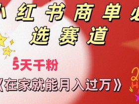 小红书运营需要具备哪些能力,从策划到推广的全方位解析