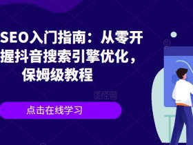 抖音SEO关键词密度优化技巧，打造高权重视频的秘诀