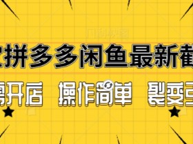 拼多多无人直播项目真的赚钱吗,成功案例与真实收益揭秘