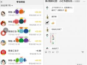 蓝海赛道低成本玩法，小红书虚拟资料赚钱方法解析