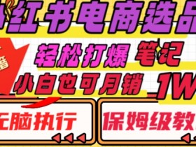 小红书笔记带货赚佣金，从商品选择到售卖的实用步骤