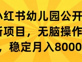 小红书运营项目总结，从数据分析到案例提炼的全流程