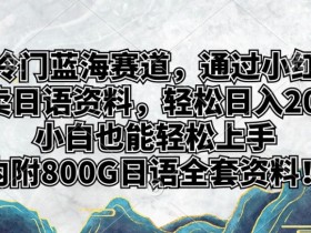 小红书代运营和自运营的区别,如何选择最适合你的方式