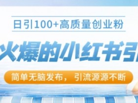 揭秘小红书批量引流策略,10分钟发布一条,轻松涨粉50+