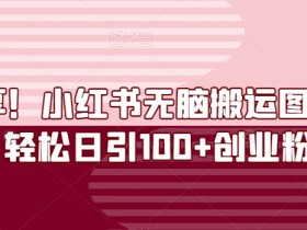 如何利用小红书笔记引流卖货,从内容到推广的完整操作教程