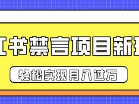 小红书矩阵引流如何实现高效转化，批量账号运营干货分享