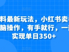蓝海冷门赛道怎么玩，小红书掘金虚拟项目日入500+解析