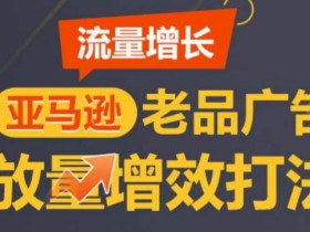 亚马逊新手广告策略分享，从基础到进阶的投放技巧