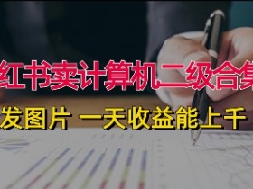 小红书掘金项目能赚多少钱，从引流到收益的全流程解析