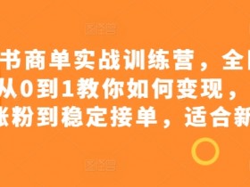 小红书海外旅游项目全攻略,如何用虚拟资料赚大钱?