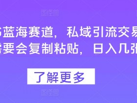 高端旅游定制项目怎么玩,小红书从内容到变现的全教程