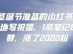 小红书矩阵引流到私域怎么玩，从内容到变现的详细攻略