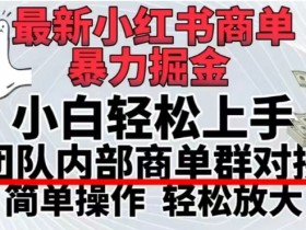 小红书运营需要具备哪些能力,从策划到推广的全方位解析