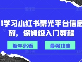 小红书掘金模式是什么，揭秘蓝海赛道赚钱的底层逻辑