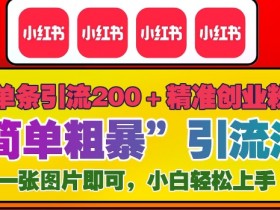 揭秘小红书矩阵引流技巧，日引创业粉200+的方法拆解