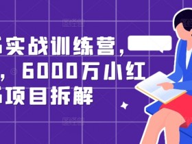 小红书海外旅游项目全攻略,如何用虚拟资料赚大钱?