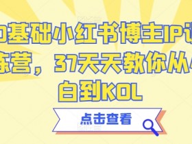 短剧搬砖收益如何最大化，小红书蓝海项目操作全攻略