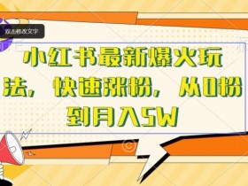 小红书运营项目总结，从数据分析到案例提炼的全流程