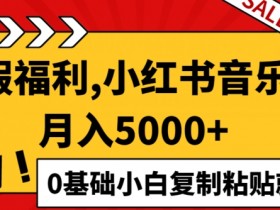 小红书掘金项目安全性如何,冷门虚拟项目的合规指南