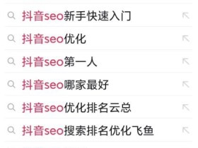 如何结合SEO优化打造爆款抖音视频,内容创作与关键词匹配技巧