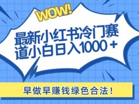 小红书如何快速实现精准引流,实用方法和操作思路分享