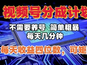 视频号直播推广秘籍,小成本投流撬动大流量的方法