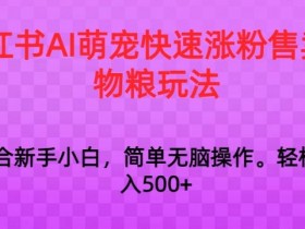 小红书运营模式有哪些，2025年全新玩法拆解与实操攻略