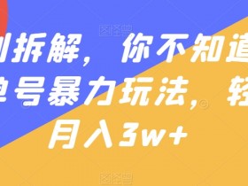 书单号项目怎么做,从搭建到变现的全流程案例解析