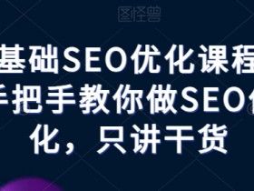 抖音SEO全套课程，搜索优化玩法的新手到高手进阶