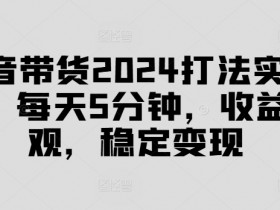 抖音带货项目评价，2025年值得入手的高收益项目解析